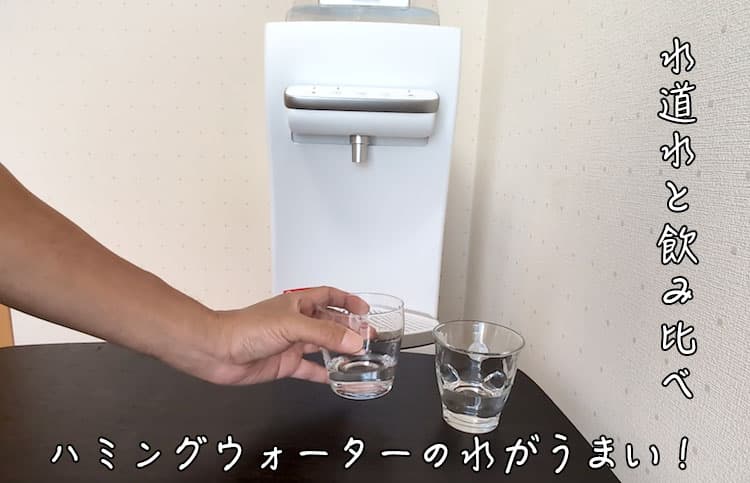 ハミングウォーターで浄水した水と水道水を飲み比べているところ