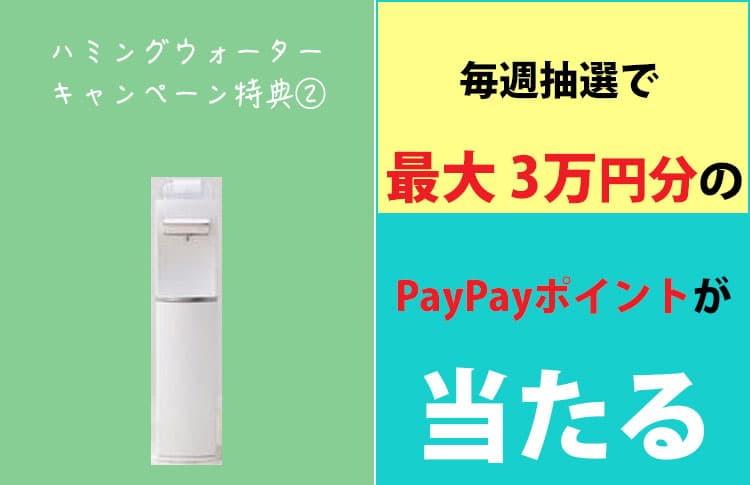 ハミングウォーター2025年5月25日までのキャンペーン特典その2